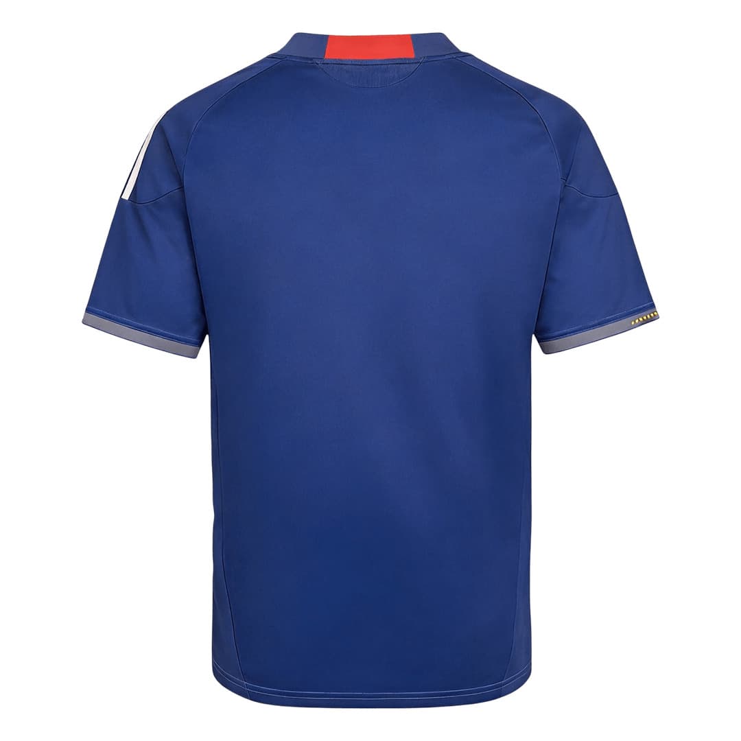 Japan 2010 home shirt, back: deep blue with the feather pattern, a red collar band and grey sleeve cuffs.