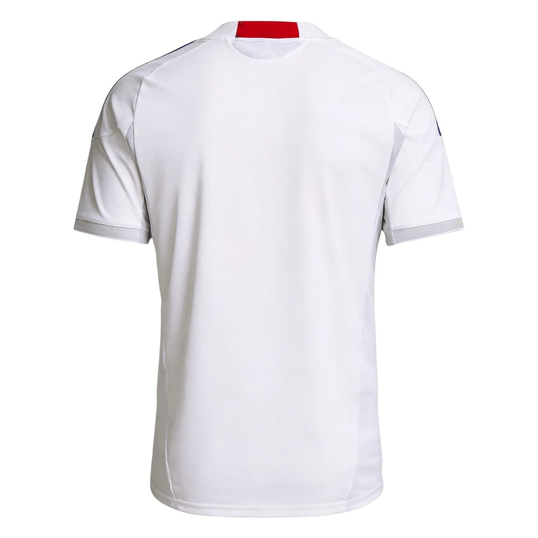 Japan 2010 away shirt, back: white with the feather pattern, a red collar band and grey sleeve cuffs.
